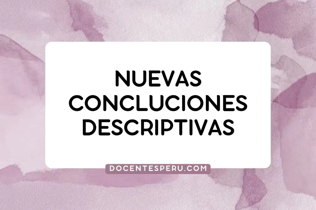 Nuevas Conclusiones Descriptivas para fin de año 2024